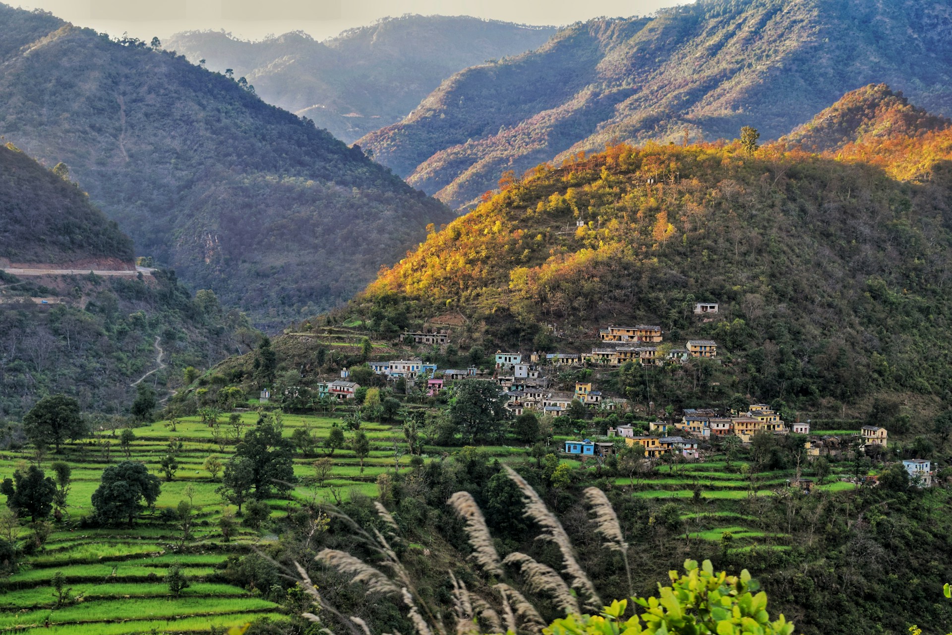 Dehradun